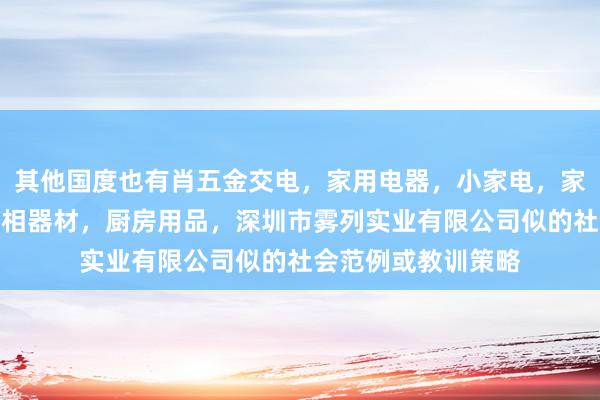 其他国度也有肖五金交电，家用电器，小家电，家装建材，厨具，照相器材，厨房用品，深圳市雾列实业有限公司似的社会范例或教训策略