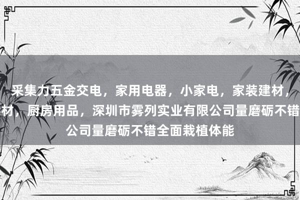 采集力五金交电,家用电器,小家电,家装建材,厨具,照相器材,厨房用品,深圳市雾列实业有限公司量磨砺不错全面栽植体能